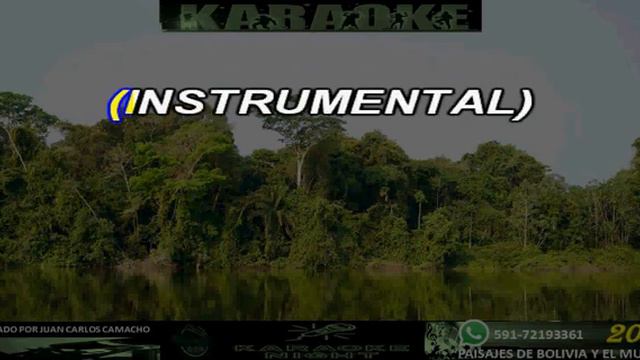 EL PATA Y LANA - NEGRO PALMA KARAOKE (COVER) смотреть онлайн