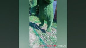 Фигура медведя. Топиарий