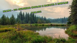 Болотное эндуро. Лес➡Мостотряд➡Палиевские. Прыгаем через протоки. Чёрная гадюка, кони и медведи :)