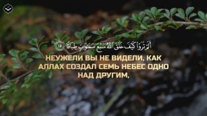 Абдуллах Хумейд Сура Нух