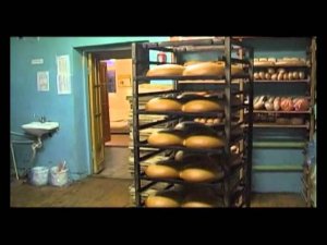 "Муссон-ротор модель 55"