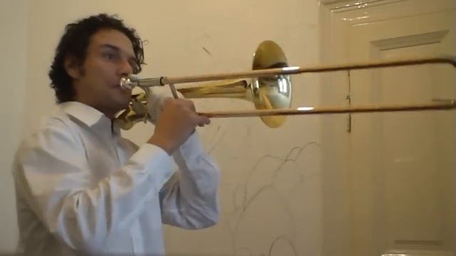 Flight of the Trombone bee.MPG смотреть онлайн