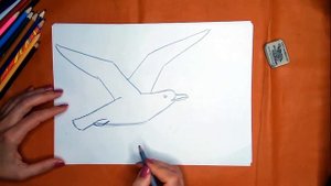 Как нарисовать чайку карандашом. Онлайн-школа рисования "Малевашки"