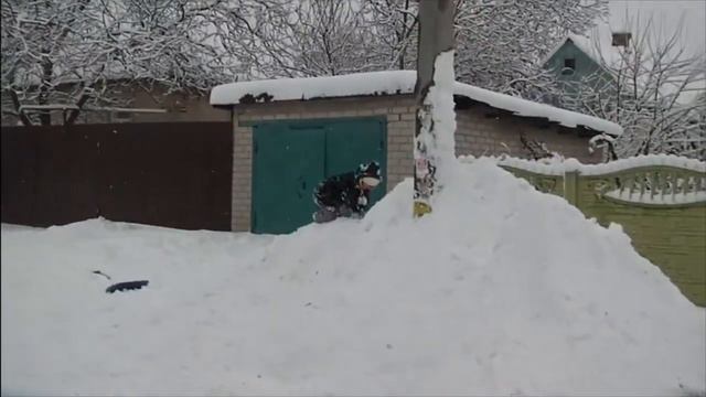 Снежный заяц. A hare of snow смотреть онлайн