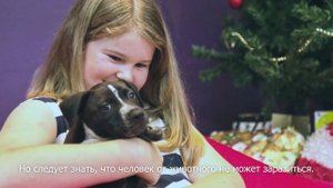 Мифы о ВИЧ. Способы заражения