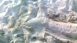 Русалка в Каспийском море ! ! !