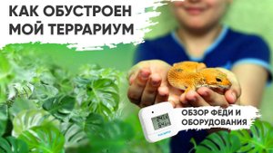 Как обустроить террариум для эублефара. Влог и обзор оборудования для террариума
