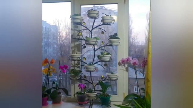 На эту подставку можно поставить цветы любой высоты! смотреть онлайн