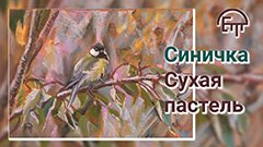 Синичка. Сухая пастель