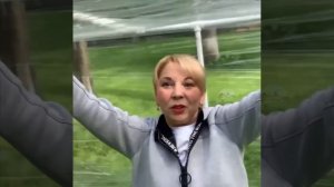 Самодельная мини-теплица за час