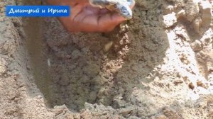 ШРИ ЛАНКА ^ ХИККАДУВА Шри Ланка ^ ХИККАДУВА бюджетный отдых ШРИ ЛАНКА! ХИККАДУВА черепахи ШРИ ЛАНКИ