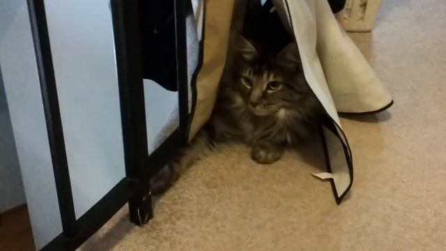 Втроем смотреть онлайн