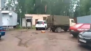 Разрыв сердца у собаки