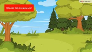 Видеоурок и памятка для классного часа «Правила безопасного поведения в лесу»