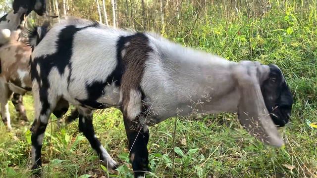 9 ноября 2023 г. смотреть онлайн