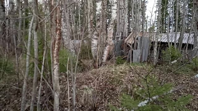 канава на участке/старая баня смотреть онлайн