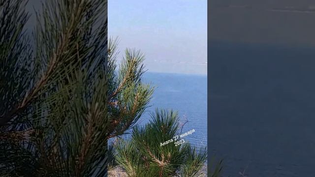 Анапа 27 января 2023. На море полный штиль. #Анапа #Черноеморе #высокийберег #27января #зимаванапе