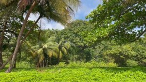 Santa Teresa / Costa Rica