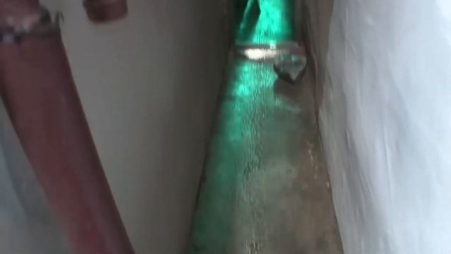 ПОМОЩЬ ЖИВОТНЫМ ПОПАВШИМ В БЕДУ ТОП 5 смотреть онлайн