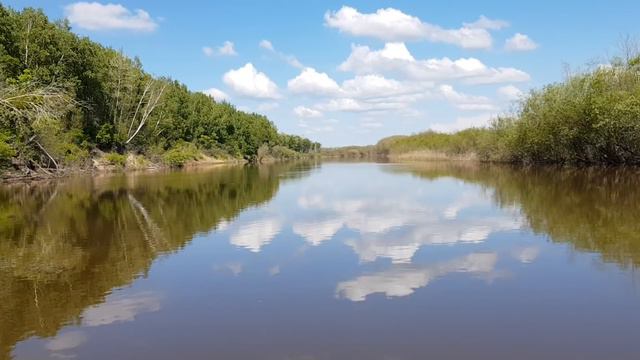 За сазанами и лещами! Амур, июнь 2019 года. смотреть онлайн