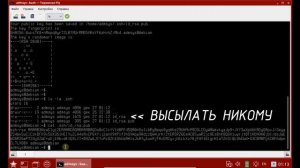Настройка входа без пароля (по ключам) и настройка клиента SSH в Astra Linux SE 1.6