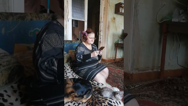 Частушки школьные смотреть онлайн