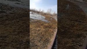 Сколько часов должен работать человек