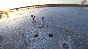 Рыбалка 2022. Первый лед, ловля корюшки (писуча)