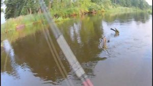 ПОИСК КРУПНОГО ХИЩНИКА ЛЕТОМ!!!КРУПНАЯ ЩУКА 2020!РЫБАЛКА НА СПИННИНГ!ОХОТА НА ЩУКУ!!! №1