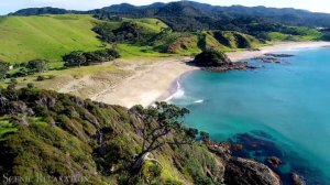 Путешествия на волнах музыки. Новая Зеландия