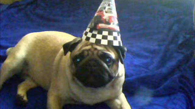 Мой фильм Девочки смотреть онлайн