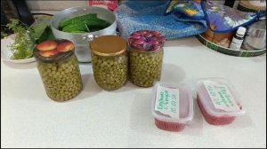 Сделала туалет в две женские руки на даче. Заготовка иван-чая. ТО "Родник" у меня на даче. (2024)