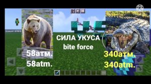 медведь против крокодила. bear vs crocodile
