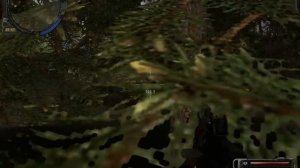 S.T.A.L.K.E.R. Зов припяти SGM - тайник с гаусс-пушкой