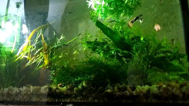 завершение подмены воды смотреть онлайн