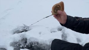 ГИРЛЯНДА. Как поймать плотву, подлеща, густеру зимой на большой глубине. Ловля белой рыбы на яме.