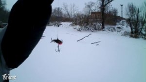 Рыбалка в Подмосковье - Ловля окуня зимой