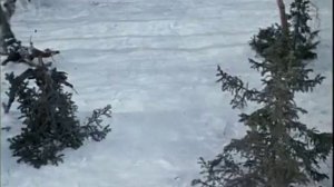 Морозко - Я ж его съесть хотела, но не съела   .wmv