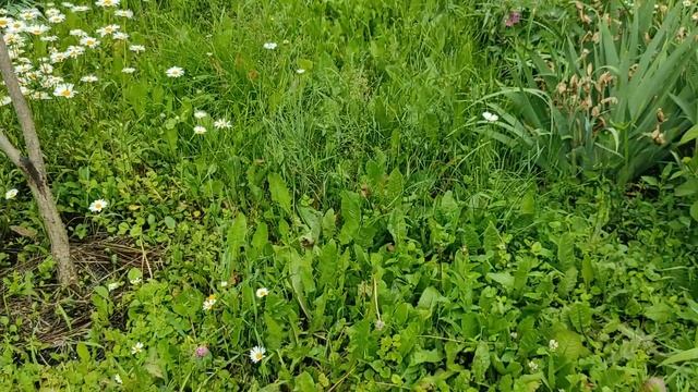 Автоматические фонари на воротах / Делаем домик для колодца/ Дом в деревне смотреть онлайн