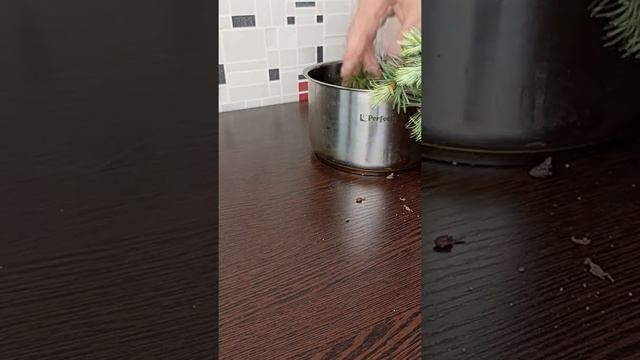 Как избавиться от неприятного запаха пота. Полезный лайфхак к лету.. смотреть онлайн