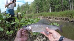 Сплав Сплавыч 2019 - (4 серия): Шурыш великолепный