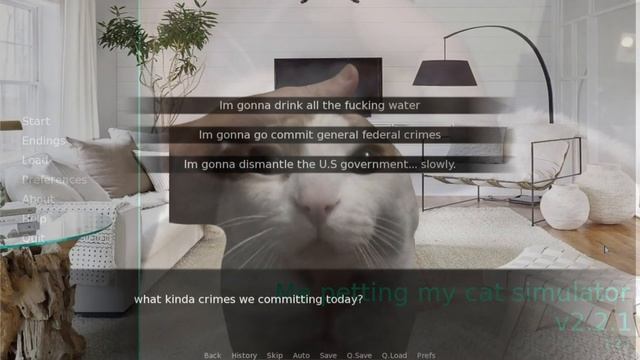 Me Petting My Cat Simulator 100% Completion (All Endings/All Routes) смотреть онлайн