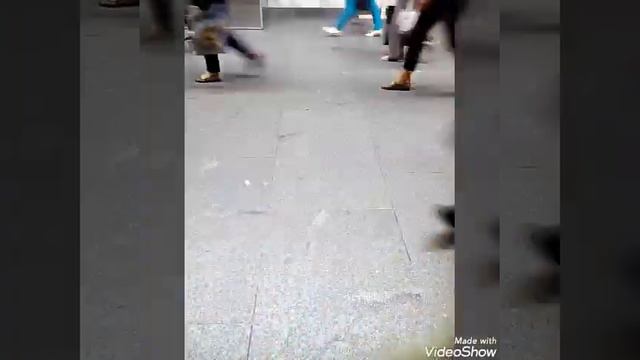 ПОДИУМ  "2 СЕЗОН" - "ЛЕТО В САНКТ - ПЕТЕРБУРГЕ"