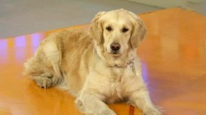 Лучшее за неделю. Жить здорово!