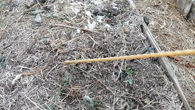 Готовим Грядки Под Посадку Клубники Осенью 2021 г // Схема Работ // Ягодная Усадьба смотреть онлайн