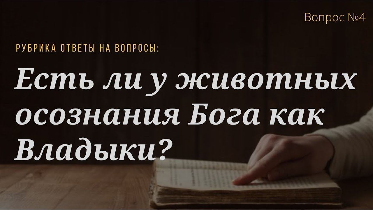 Вопрос №4 Есть ли у животных осознания Бога как Владыки?