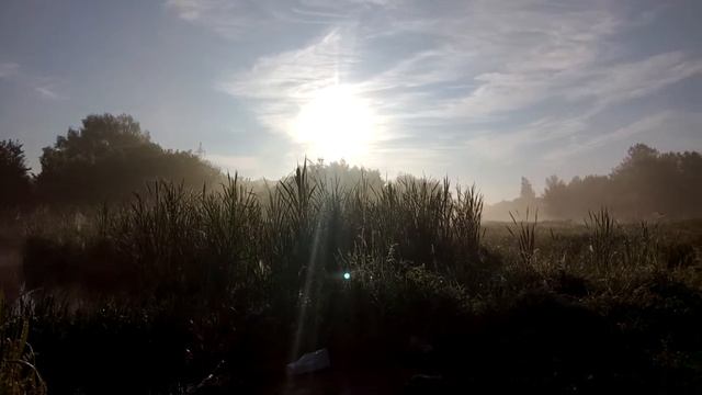 Шостка.. Утро на рыбалке.. Кукушка смотреть онлайн