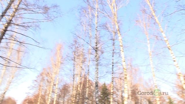 Красивый Липецк: Борисовская аллея и памятник Народовольцам смотреть онлайн