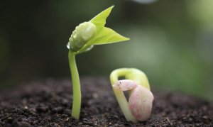 медитация для сна слушать. медитация для нервной системы и психики. медитация для успокоения психики