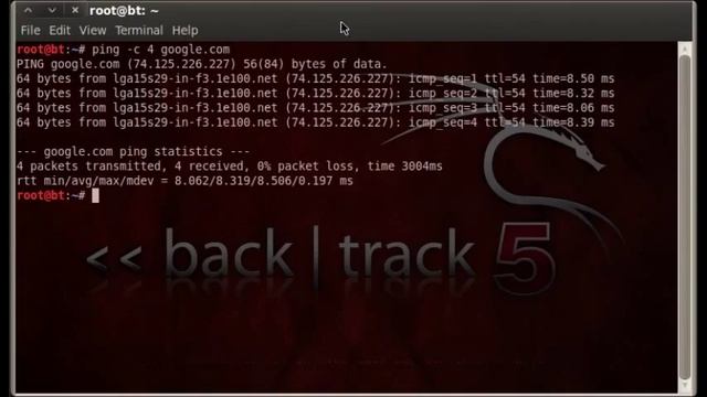 Pings and Ping Sweeps смотреть онлайн